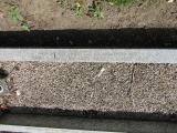 image of grave number 866292